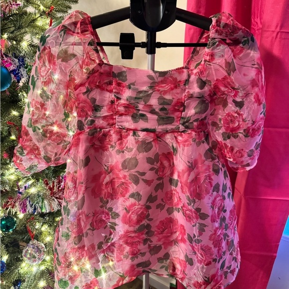 Pink and Floral Print 3/4 Sleeve Organza Mini Dress - Picture 2 of 6